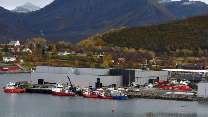 Cermaq, Steigen i Nordland